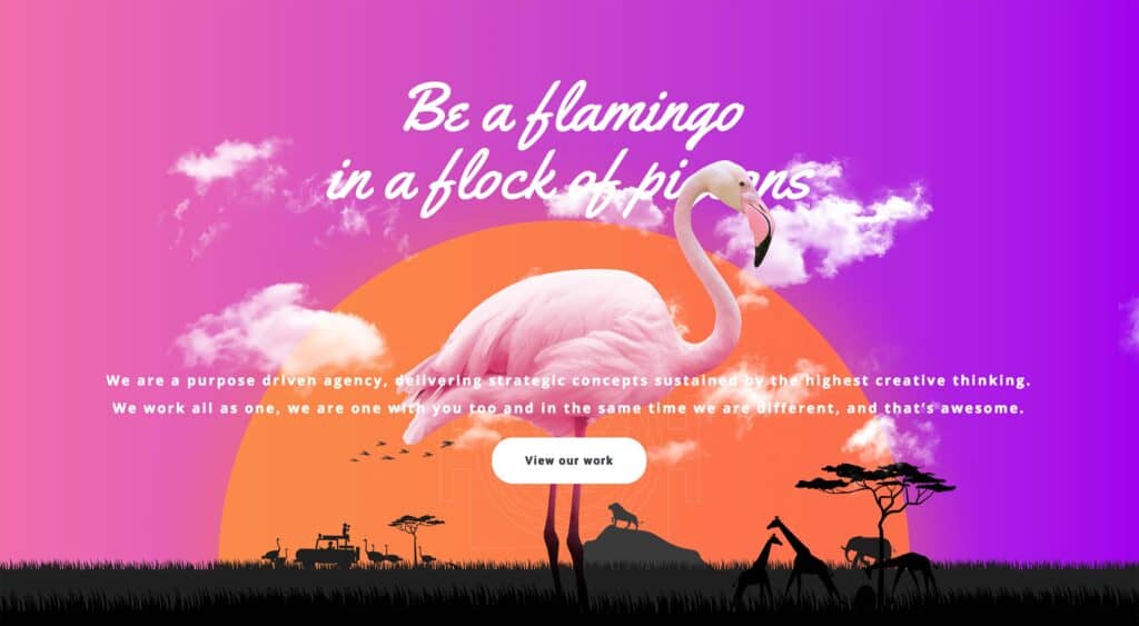 20 Best New Portfolios, October 2018
